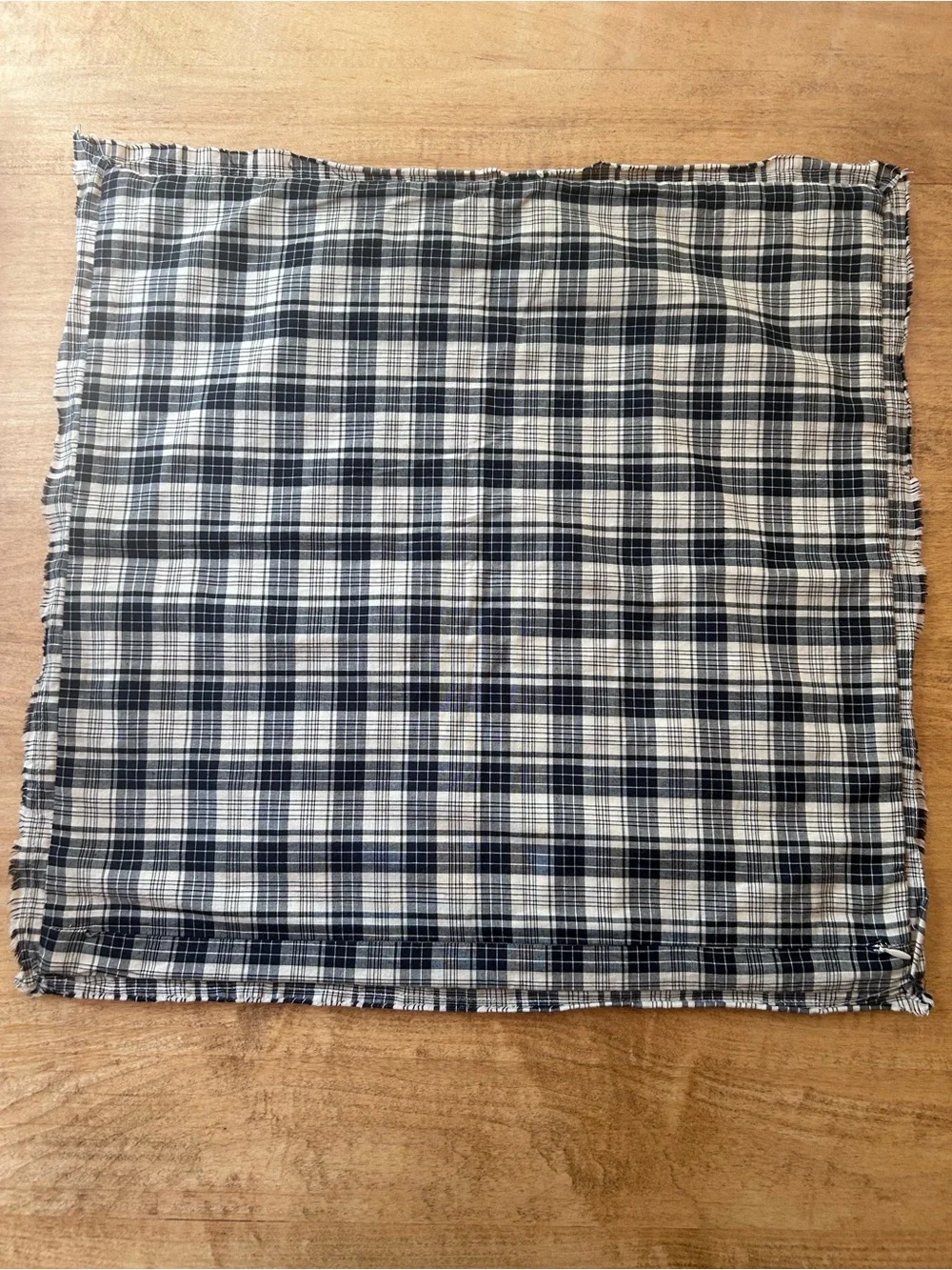 Pottery Barn Holiday Truck & Tree Square Pillow Cover with Zipper Closure. 20x20